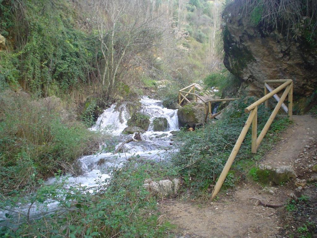 Apartament Cazorlapart